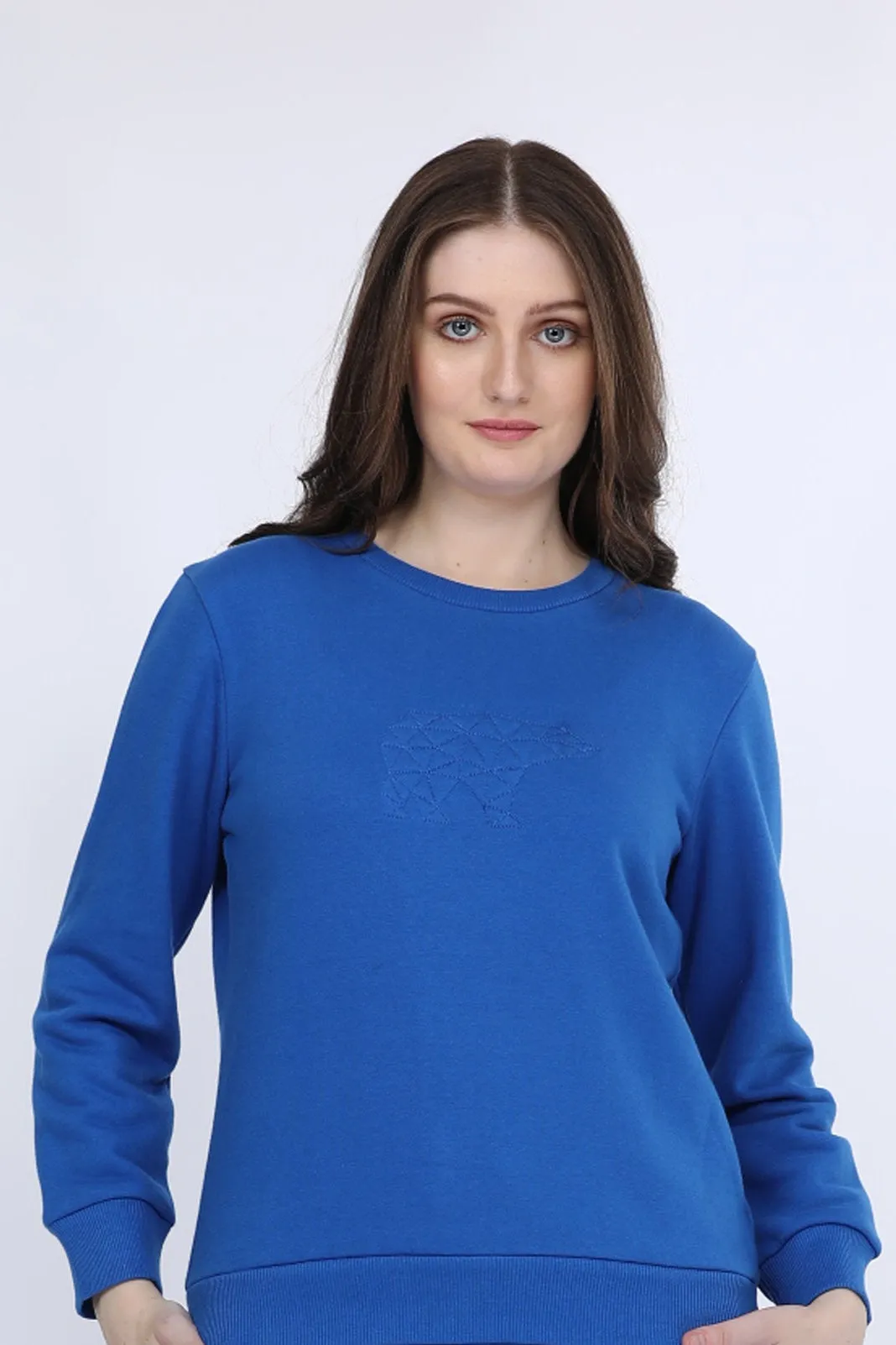 Blue Fleece Full Sleeve LSS Sweatshirt